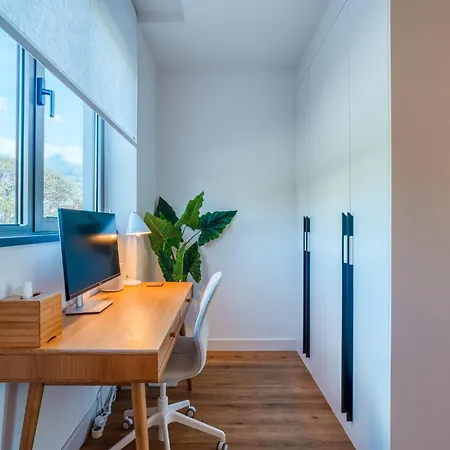 The Pink Palm By Amazing Madeira