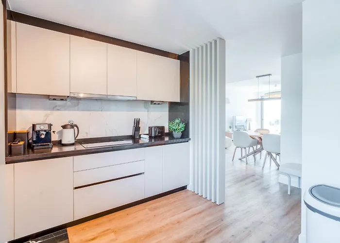 The Pink Palm By Amazing Madeira