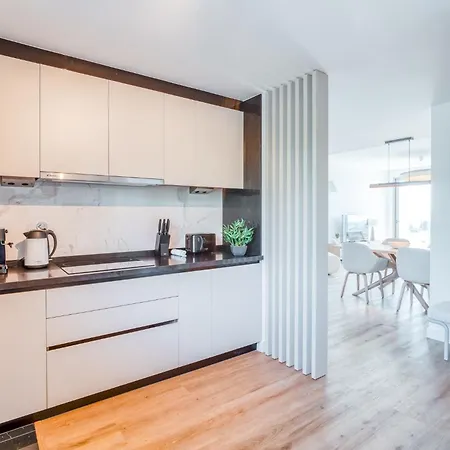 The Pink Palm By Amazing Madeira