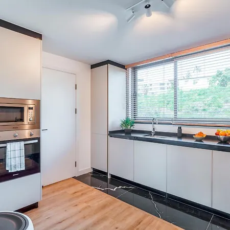 The Pink Palm By Amazing Madeira פונשל